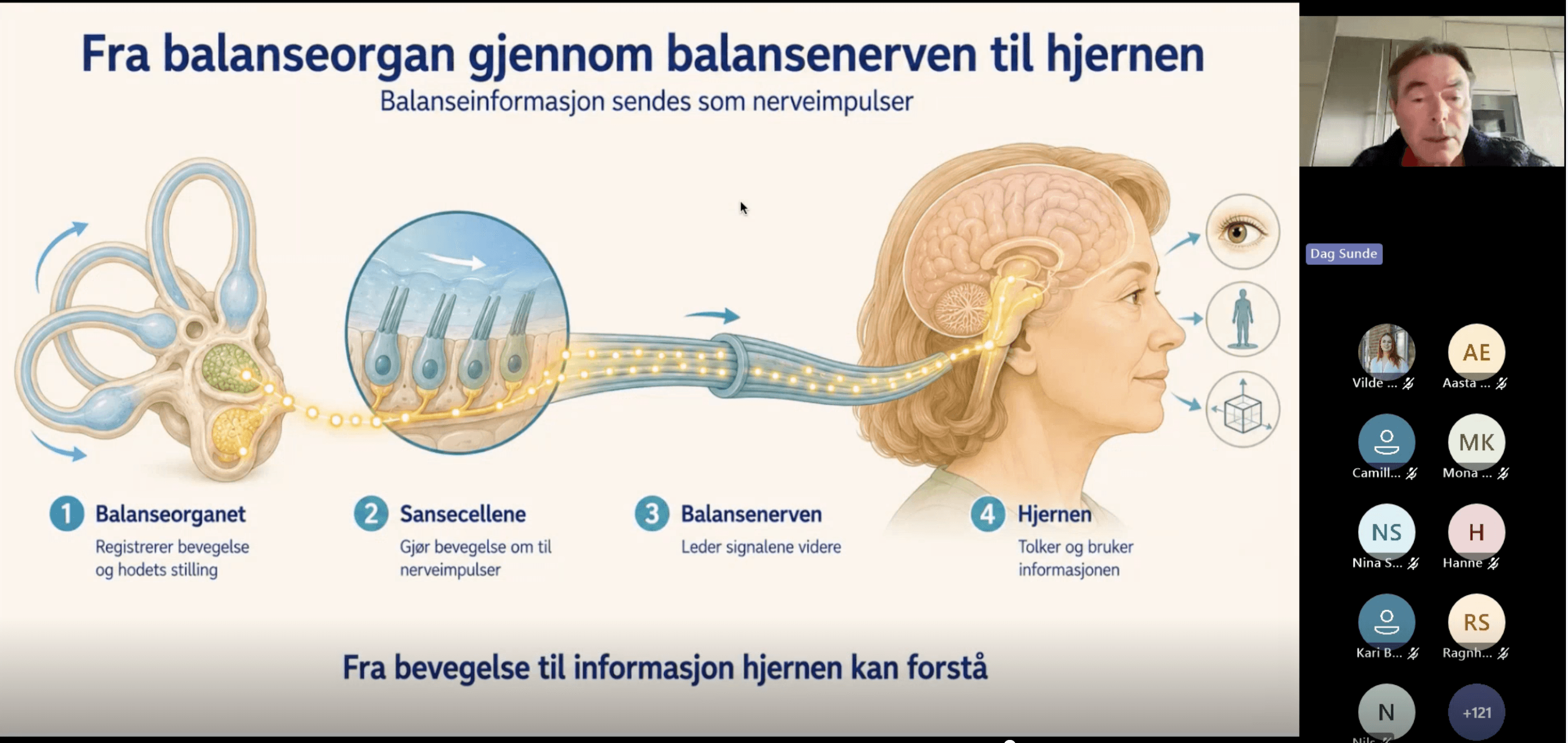 Skjermdump fra nettmøtet som viser et lysbilde med informasjon om balanseorganet, samt et mindre bilde av foredragsholder Dag Sunde.