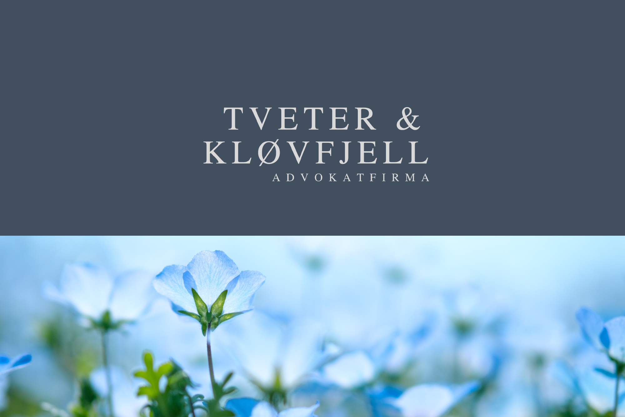 Plakat med Tveter og Kjøvfjell-logo og bile av blåklokker under